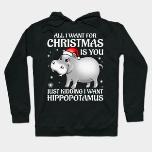 Funny Cute Hippo I Want A Hippopotamus For Christmas Hoodie